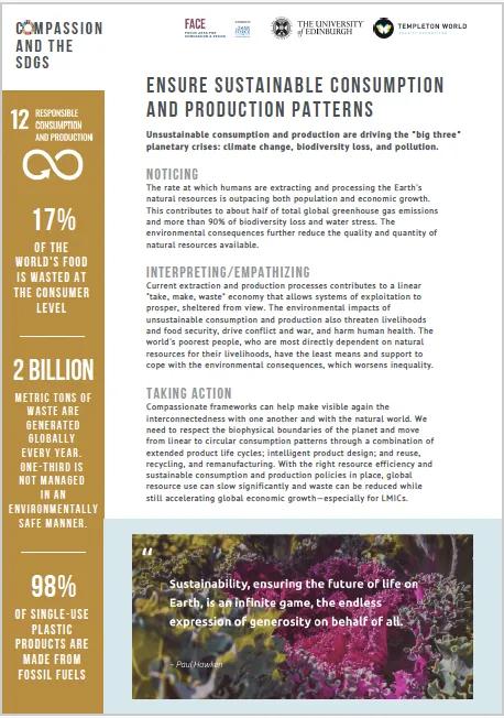 SDG12 Thumbnail image of the SDG for compassion resource